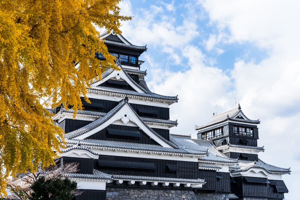 秋晴れの空の下、黄金色のイチョウと隣り合って聳える熊本城